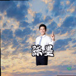 陈墨